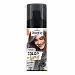 PALE-SPRAY-GRIS-URBANO-120M